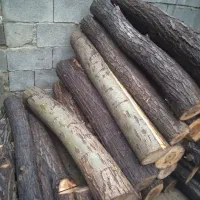 فروش چوب بادام بید وسفیدار ضایعات ونجاری