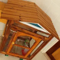 قفس چوبی حرفه ای