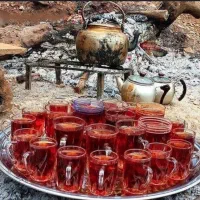چایی درمانی|خوردنی و آشامیدنی|شیراز, احمدآباد|دیوار