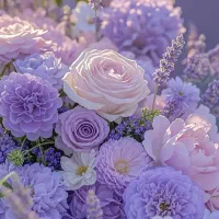 همراهی برای ورزش