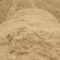 فروش فوری کاه