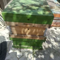 کندو زنبور عسل