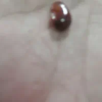 سنگ عقیق