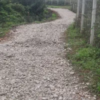 فروش زمین و ملک های به قیمت واقعی گوراب مبین بالو|فروش زمین و ملک کلنگی|گوراب زرمیخ, |دیوار