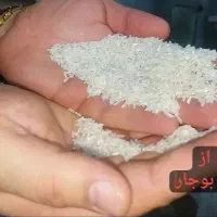 برنج ایرانی طارم هاشمی نیمدانه و سرلاشه|خوردنی و آشامیدنی|مشهد, آزادشهر|دیوار