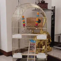 قفس عروس|لوازم جانبی حیوانات|تهران, جنتآباد جنوبی|دیوار