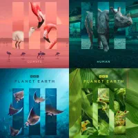 پذیرش پروژههای طراحی گرافیک