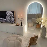 آینه دفرمه قدی