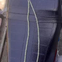 فروش تسبی شاه مقصود