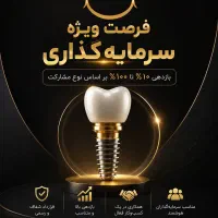 سرمایه گذاری /هوشمندانه /بی نظیر