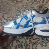 کفش نو|کیف، کفش، کمربند|شیراز, لشکری‎|دیوار