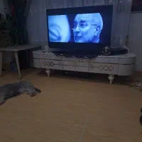 میز تلویزیون در حد نو