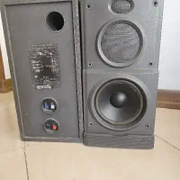 یک جفت باند خانگی
