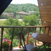 کلبه سوییسی  تک خواب تازه ساخت|اجارهٔ کوتاه‌مدت ویلا و باغ|ماسال, |دیوار