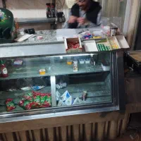 یخچال ویترینی سالم