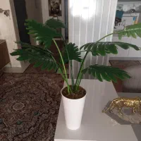 گل مصنوعی|گل مصنوعی|همدان, |دیوار