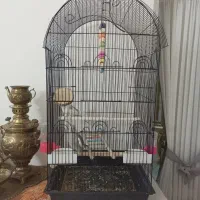 قفس پرنده