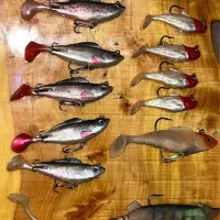 طعمه مصنوعی ژله‌ای