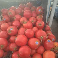 نیازمند شریک سرمایه گذار میدان تره بار|استخدام مالی، حسابداری، حقوقی|شیراز, وزیرآباد|دیوار
