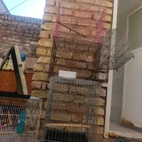 قفس|لوازم جانبی حیوانات|شیراز, کوشک میدان|دیوار