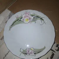 سرویس 101 پارچه ژاپنی آکبند