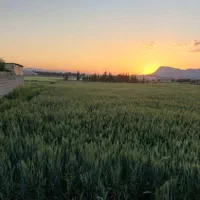 اجاره روزانه/هفتگی/ماهانه ویلا باغ ۳۰۰۰ متری