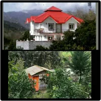 ویلای جنگلی دو خوابه الماس