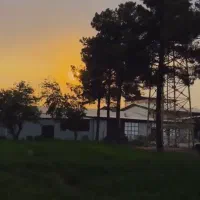 استخدام آشپز