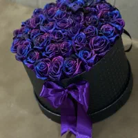 گل روبانی کهکشانی