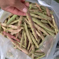 باقالی