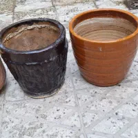 گلدان  سفالی جنس قدیمی|گل و گیاه طبیعی|تهران, مهرآباد جنوبی|دیوار