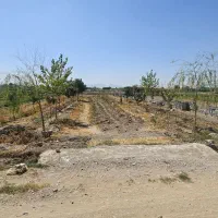 باغ مجوز فنس