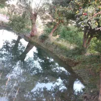 باغ۷۰۰متری|فروش زمین و ملک کلنگی|شبستر, |دیوار