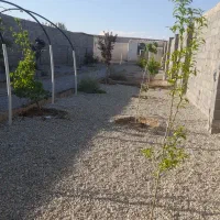باغچه