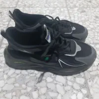 کتانی مردانه نو