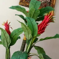 گل بزرگ به همراه گلدان
