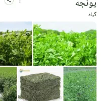 خریدوفدوش‌یونجه