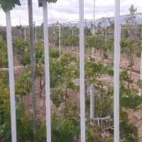 باغ ویلای در بهترین لوکیشن اول جاده مشهد