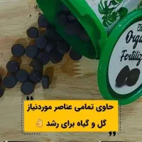 به گیاهت جونِ دوباره بده|گل و گیاه طبیعی|قم, سراجه|دیوار