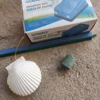 اکواریوم با پمپ هوا نو و سالم|ماهی|مسجد سلیمان, |دیوار