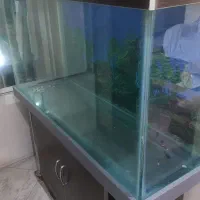 اکواریوم