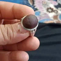 هبهاب مغربی