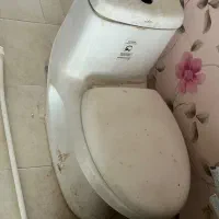 تولت فرنگی توی تو