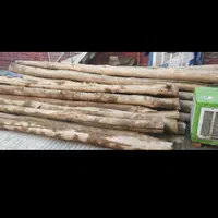 چوب روسی ترمو تیرچوبی دوبل چوبی پرچم سازه های چوبی|مصالح و تجهیزات ساختمان|تهران, امام حسین|دیوار