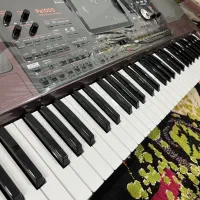 ارگpa1000 کارتن باز|پیانو، کیبورد، آکاردئون|بندر کنگان, |دیوار