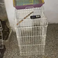 قفس پرنده سایز کوچیک و بزرگ
