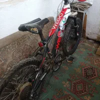 دوچرخه 24