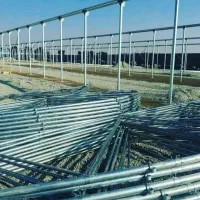 ساخت گلخانه ــ طراحی و اجرای انواع سازه های گلخانه