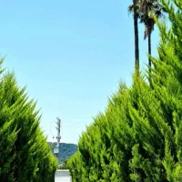 اجاره شبانه ویلای لوکس مبله در نشتارود|اجارهٔ کوتاه‌مدت ویلا و باغ|نشتارود, |دیوار