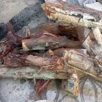 ضایعات چوب|حراج|پاکدشت, پاکدشت (مامازند)|دیوار